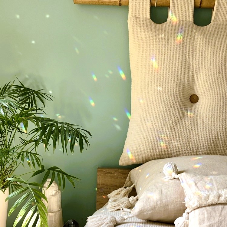 Lapacze strona grafika